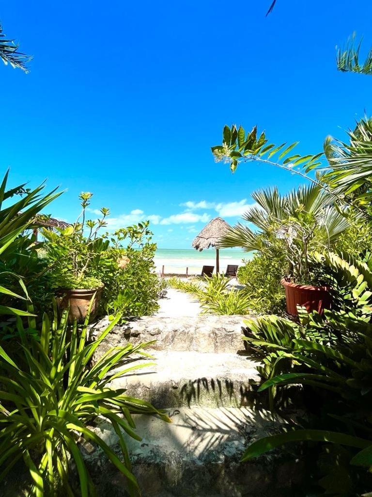 Casa Tom Tom - Adults Only Bed & Breakfast Isla Holbox Exterior photo